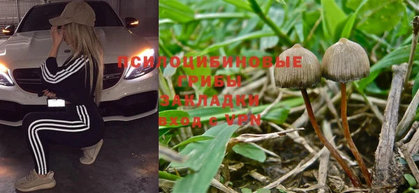 прущие крисы Каменногорск