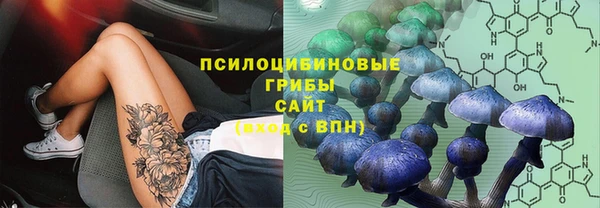 прущие крисы Каменногорск