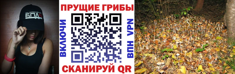 Галлюциногенные грибы прущие грибы  blacksprut как зайти  Краснотурьинск 