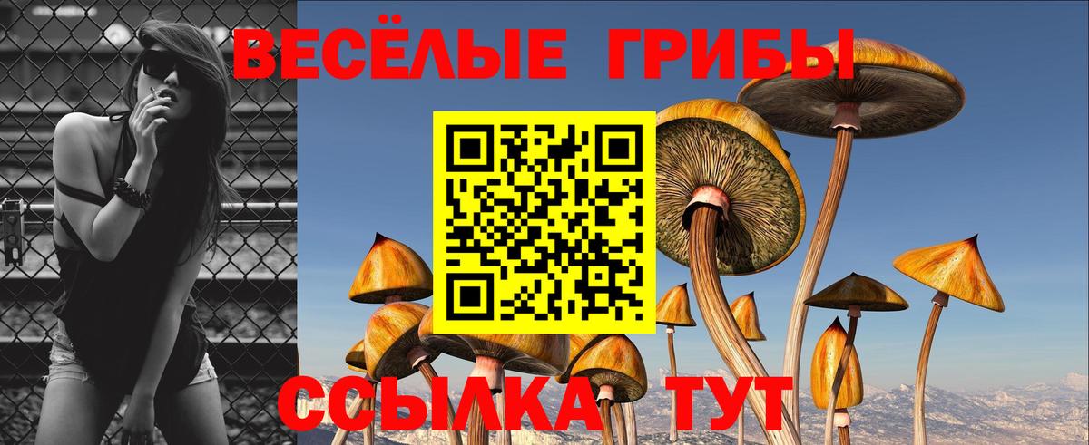 Краснотурьинск  купить  сайты  Вход с VPN  Псилоцибиновые грибы прущие грибы 